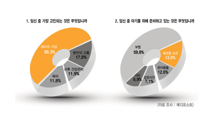 임신부 60% 태아건강이 가장 고민 2위는 분만고통