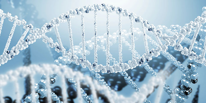 메디포스트 줄기세포 능력 향상 기술 특허 취득