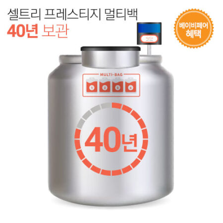 셀트리 프레스티지 멀티백